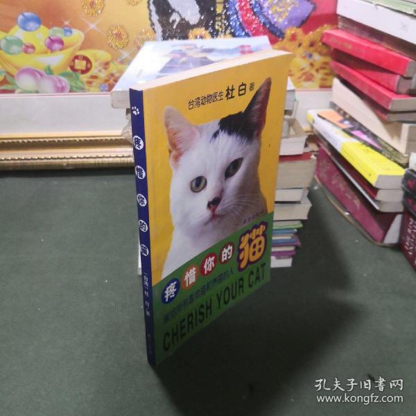 疼惜你的猫