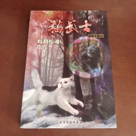 猫武士·暗黑王国2·歧路惊魂