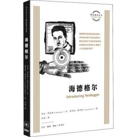 正版书图画通识丛书：海德格尔