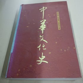 中国文化史第2版上册