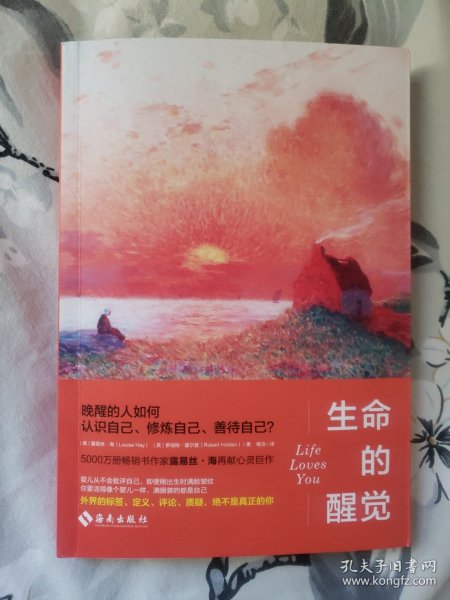 露易丝·海：生命的醒觉（5000万册畅销书作家再献自爱真谛！晚醒的人如何认识自己、修炼自己、善待自己？重建生命，觉醒认知）