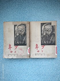 陀思妥耶夫斯基 少年【上下】民国37年初版