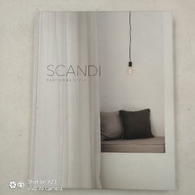 Scandi：Easy Home Style 斯堪的纳维亚轻松家居风格 室内房屋设计