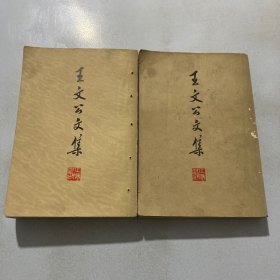 王文公文集 （上下