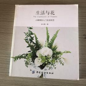 生活与花：小果带你入门生活花艺