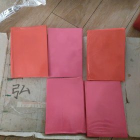 90年代空白笔记本儿5本