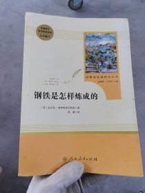 统编语文教材配套阅读 八年级下：钢铁是怎样炼成的/名著阅读课程化丛书