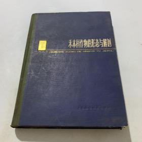 禾本科作物的形態(tài)與 解剖