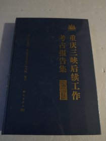 重庆三峡后续工作考古报告集（第二辑）