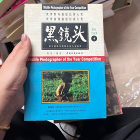 黑镜头(4