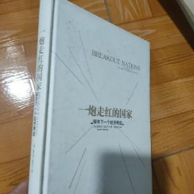 一炮走红的国家：探寻下一个经济奇迹