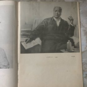 美术、1978年6月