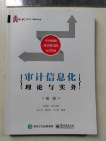 审计信息化理论与实务，内页干净无书写