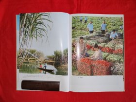 老版经典丨中国农业（全一册精装版）1983年原版老书超大开铜版彩印本，印数稀少！详见描述和图片