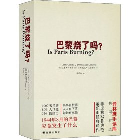 巴黎烧了吗?