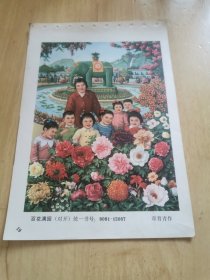 年画缩样：百花满园