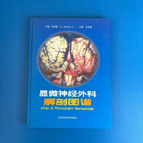 显微神经外科解剖图谱