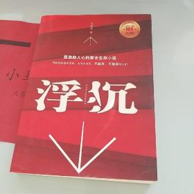 浮沉：最激励人心的职场生存小说