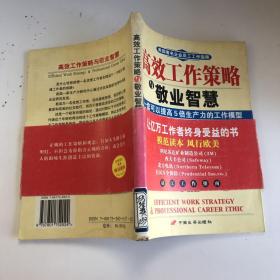 高效工作策略与敬业智慧:一套可以提高5倍生产力的工作模型