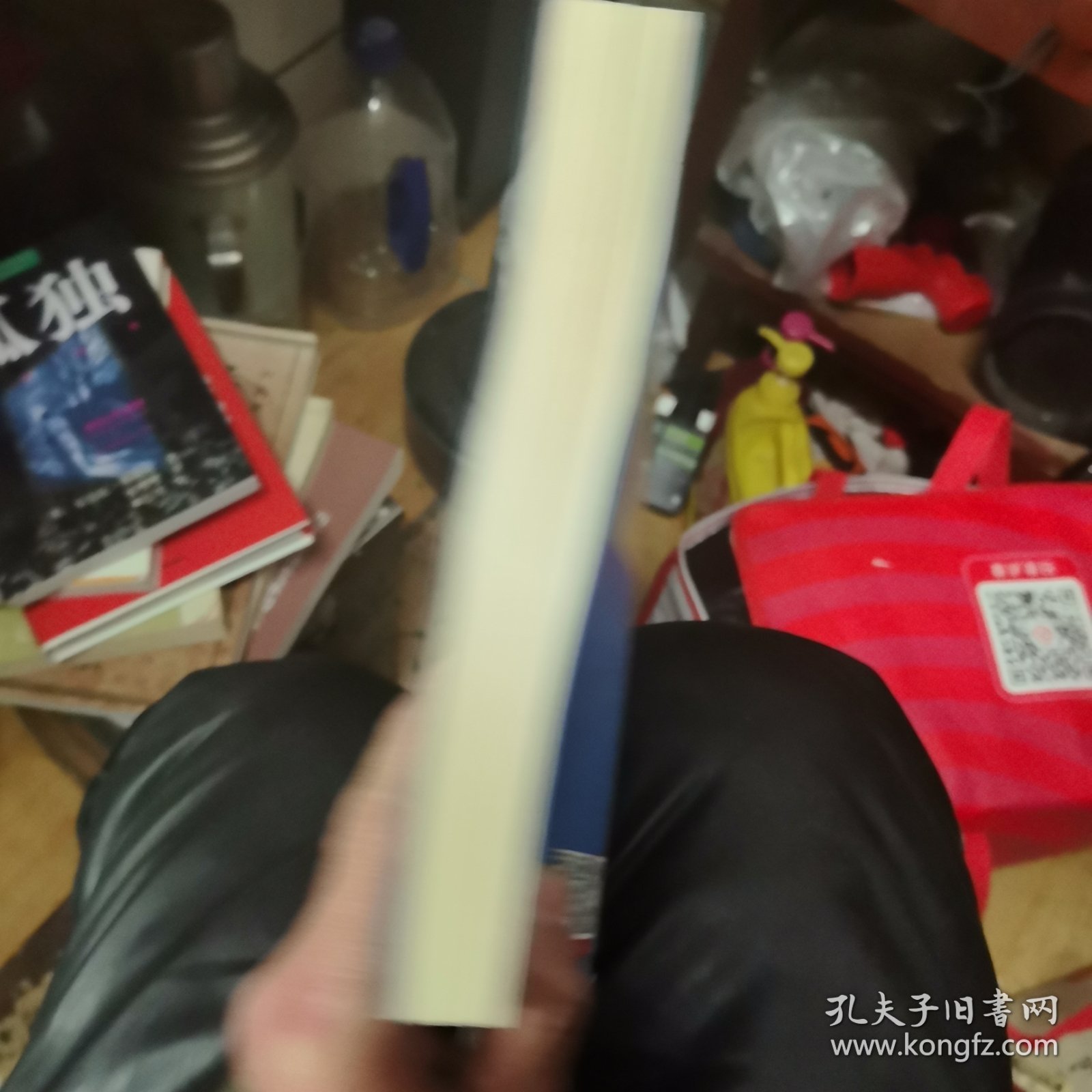 好山好水在中国（下册）