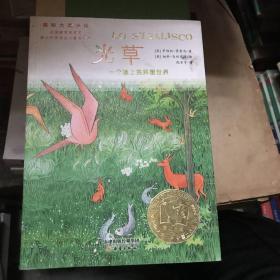 光草：一个墙上的异想世界