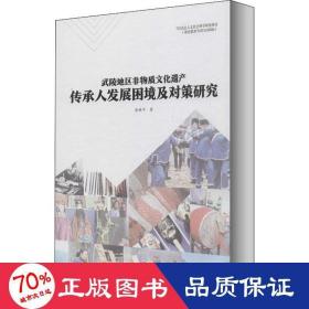 武陵地区非物质文化遗产传承人发展困境及对策研究