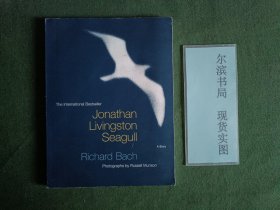 Jonathan Livingston Seagull