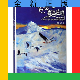 飛越喜馬拉雅/生命傳奇系列長(zhǎng)篇小說