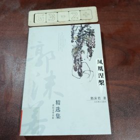 世纪文学经典：郭沫若精选集