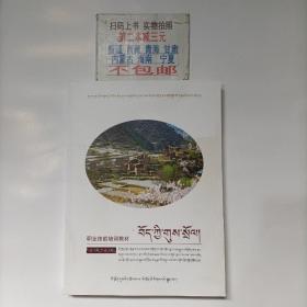 藏族礼俗 藏汉双语 职业技能培训教材 少数民族非物质文化遗产职业技能培训丛书