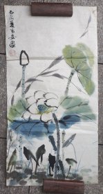 杨之仁绘画荷花