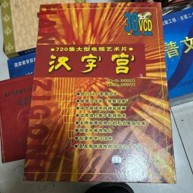 720集大型电视艺术片 汉字宫 30vcd+字典