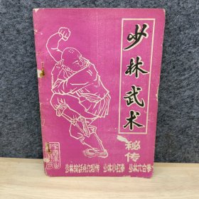 少林武术秘传