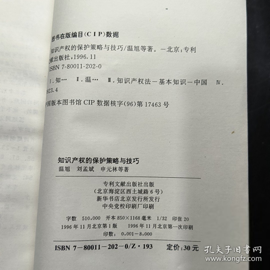 知识产权的保护策略与技巧