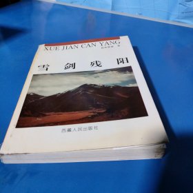雪剑残阳（平装未翻阅无破损无字迹）