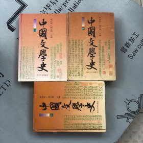 复旦2000年印版     中国文学史    精装上中下全