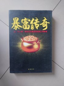 暴富传奇——一部关于金矿的百科全书，看主人公如何用一个“虚无缥缈”的金脉传说从50万赚到5个亿的传说