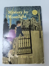 Mystery by Moonlight