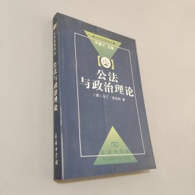 公法与政治理论