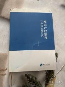 知识产权制度一体化问题研究