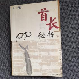 首长秘书（下册）