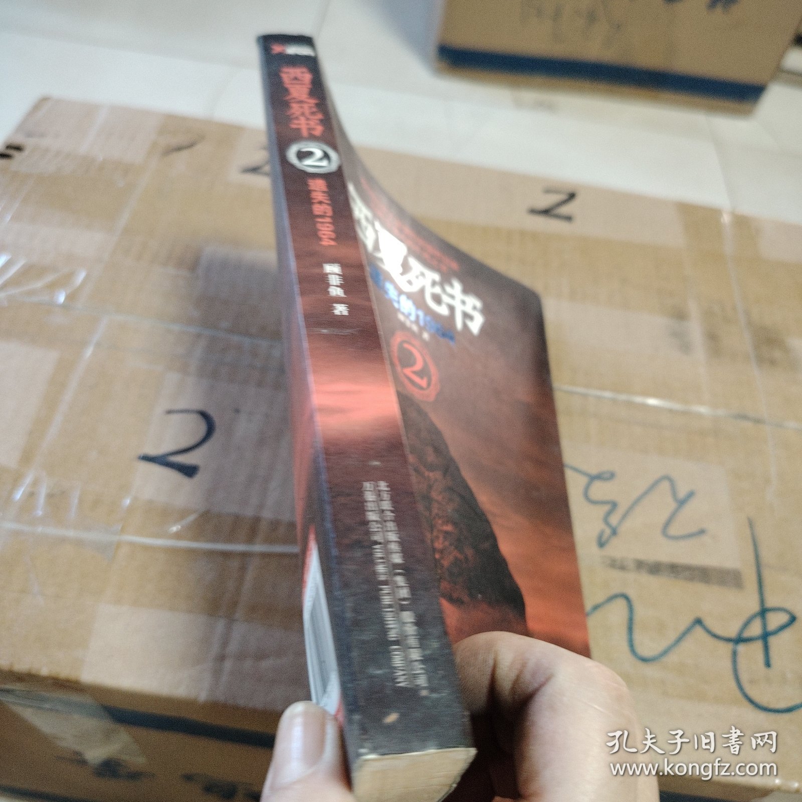 西夏死书2·遗失的1964