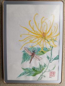 《菊花蜻蜓》图相框