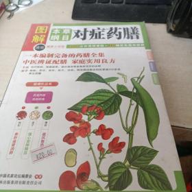 本草纲目对症药膳