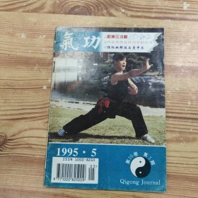 气功杂志 （1995年第5期）