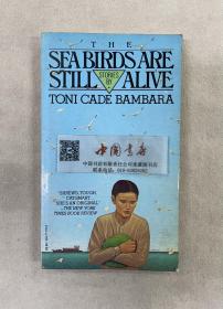 the sea birdsare still alive 海鸟还活着 1982 英文 外文