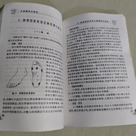 足病鉴别与防治