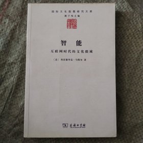 智能：互联网时代的文化疆域