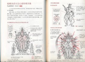 从莲花中浮现：日本佛像与寺院解剖书+日本国宝解剖书，两册合售，内页多插图