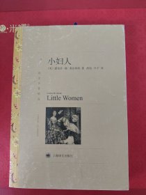 译文名著精选：小妇人